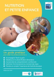 Miniature-Guide-NPE-212x300