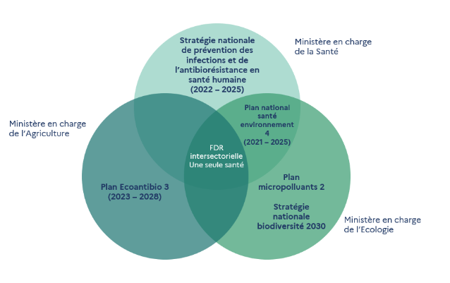 Infographie issue de la “Feuille de route interministérielle 2024 - 2034. Prévention et réduction de l’antibiorésistance, lutte contre la résistance aux antimicrobiens”, Direction générale de la santé, septembre 2024