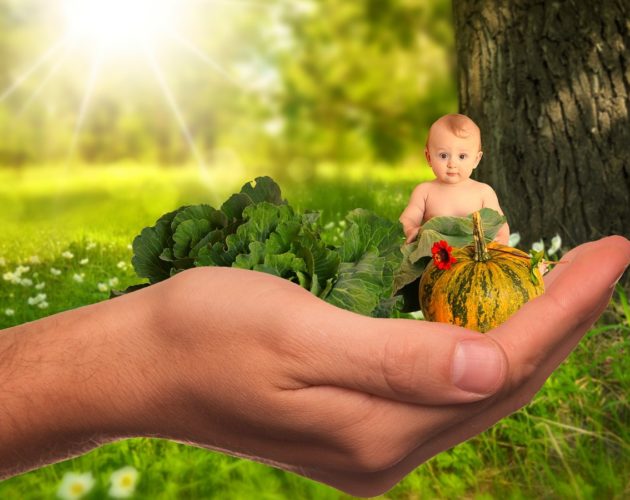 L’alimentation du jeune enfant : entre équilibre, plaisir et découvertes !