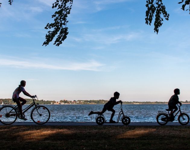 Activité Physique et Sportive